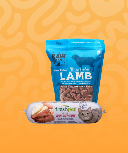 japanese real hole - onahole drying stick