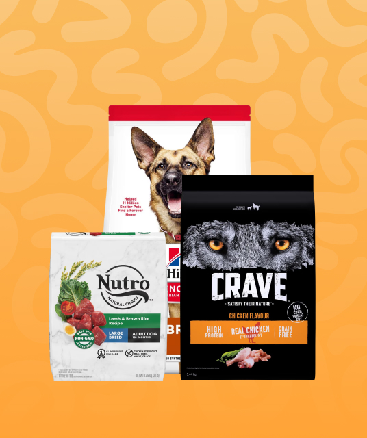 連 體 衣 - one-piece lingerie care instructions hong kong