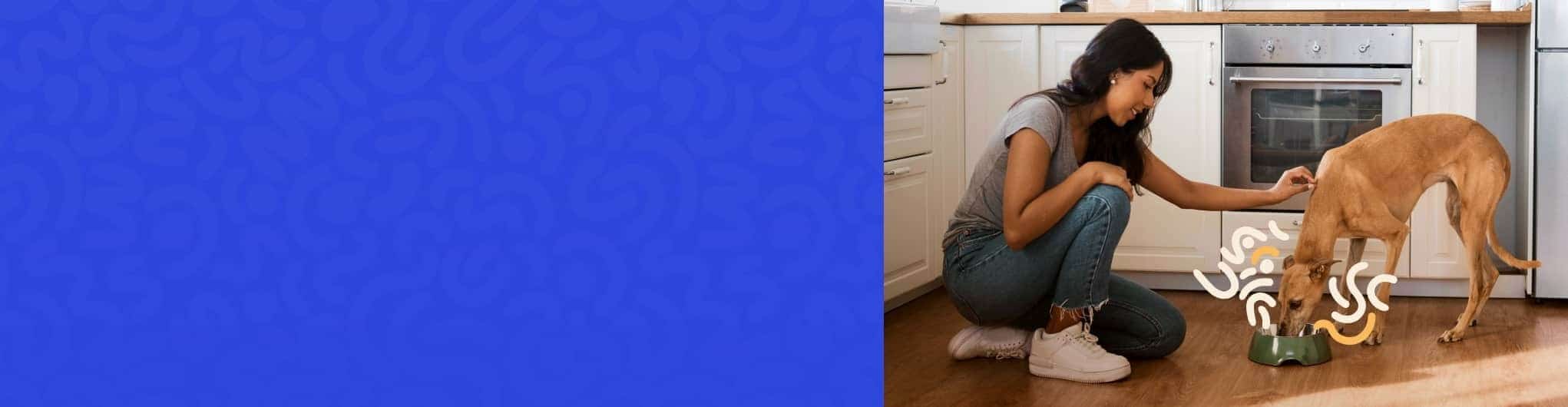 lovense lush - Professional Guide and Review