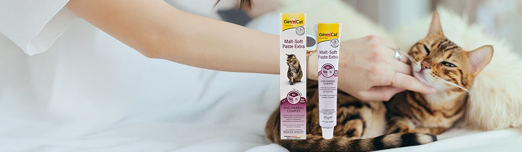 殺 精 潤滑 劑 - 專業指南和評測