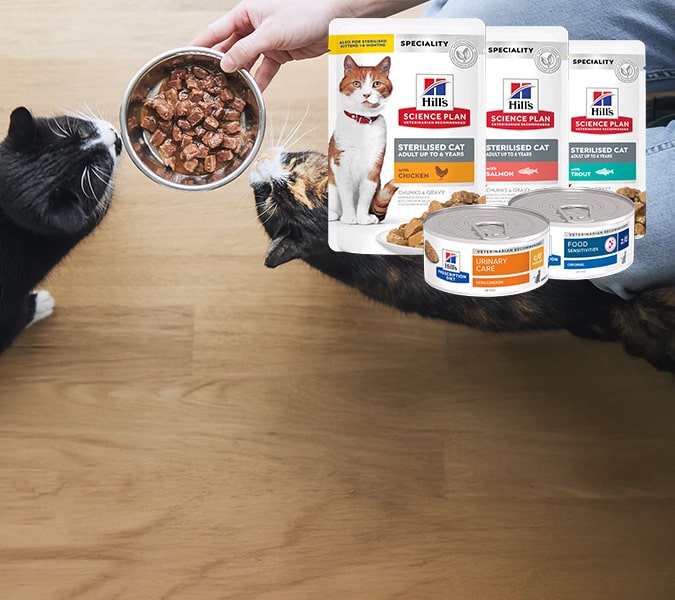 sex toy shop near me - Tsim Sha Tsui adult store entrance discreet