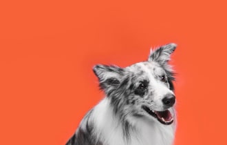 充氣 娃娃 - 專業指南和評測